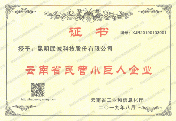 云南省民营幼巨人企业