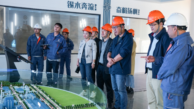 喜讯！云南锡业股份有限公司锡业分公司信息化智能化建设项目全面通过验收